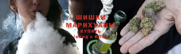крисы Покачи