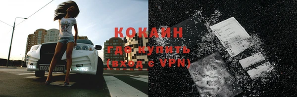 крисы Покачи