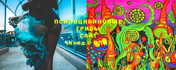 крисы Покачи