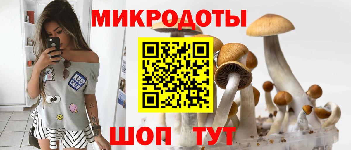 Галлюциногенные грибы MAGIC MUSHROOMS Узловая