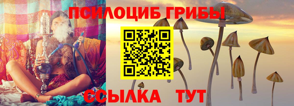 Псилоцибиновые грибы ЛСД  Псилоцибиновые грибы Psilocybe  Узловая  Вход с VPN 